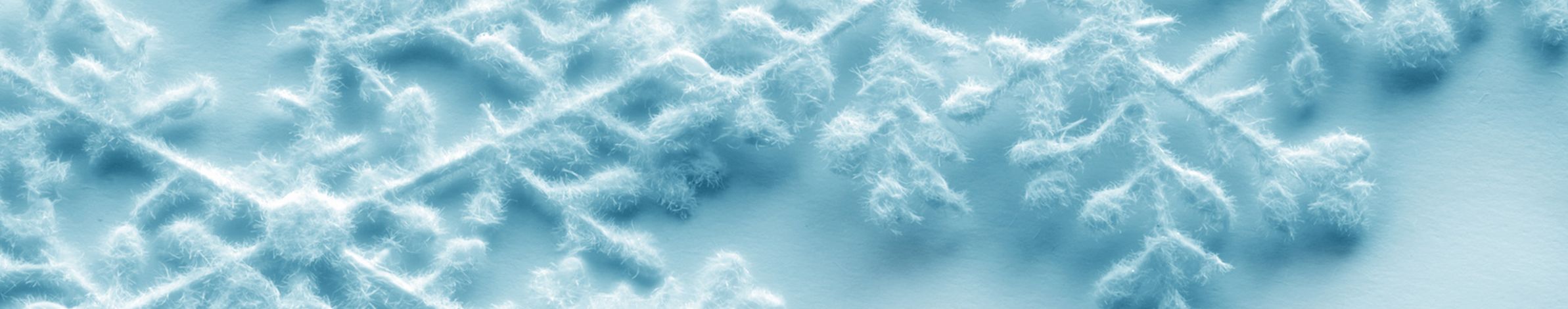 banner1